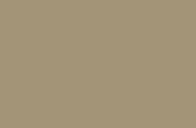 Tan Topcoat