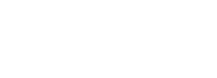 Janus International Logo